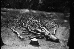 515269531_23894875706807574_2265128451190337103_n