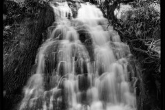 550588722_24580633531565118_3215713633600907944_n