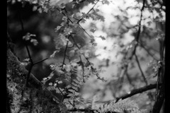 554092779_24601768939451577_4608158588483351789_n