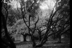 574057886_24969390162689451_8716635206295787598_n