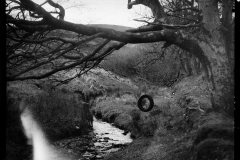 Druidale