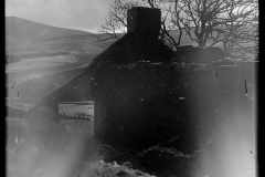 Druidale