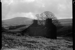 Druidale