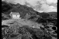 Niarbyl 
