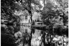 Silverdale Glen