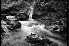Laxey Glen