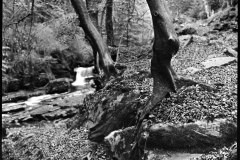 514326271_23894740183487793_2584604825298048056_n