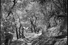 541684070_24437386925889780_8090550882264357374_n