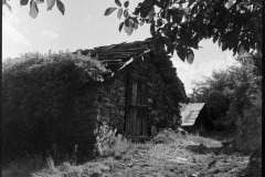 541804026_24437387319223074_3795007286080605156_n