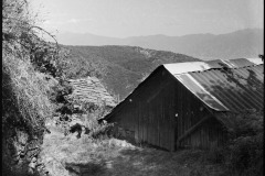 542582478_24437386462556493_7896894185298890008_n