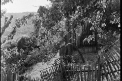 543050275_24437386482556491_5211678591685116098_n