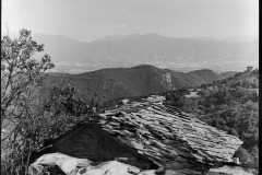 544743564_24437386499223156_3480259409849742404_n