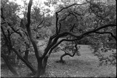 559423542_24766248476336955_9063725695938061512_n