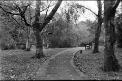 564600950_24766254379669698_807165194517189558_n